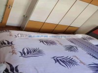 其它圖