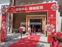 效果圖