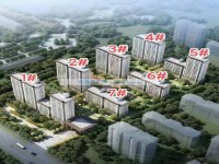 效果圖