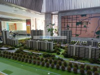 實(shí)景圖